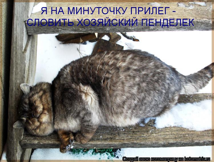 Я НА МИНУТОЧКУ ПРИЛЕГ - СЛОВИТЬ ХОЗЯЙСКИЙ ПЕНДЕЛЕК... Котоматрица: Я НА МИНУТОЧКУ ПРИЛЕГ - СЛОВИТЬ ХОЗЯЙСКИЙ ПЕНДЕЛЕК