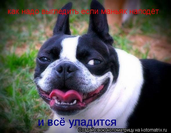 как надо выгледить если маньяк наподёт и всё уладится... Котоматрица: как надо выгледить если маньяк наподёт и всё уладится