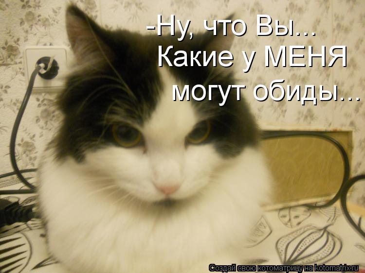 -Ну, что Вы... Какие у МЕНЯ могут обиды...... Котоматрица: -Ну, что Вы... Какие у МЕНЯ могут обиды...