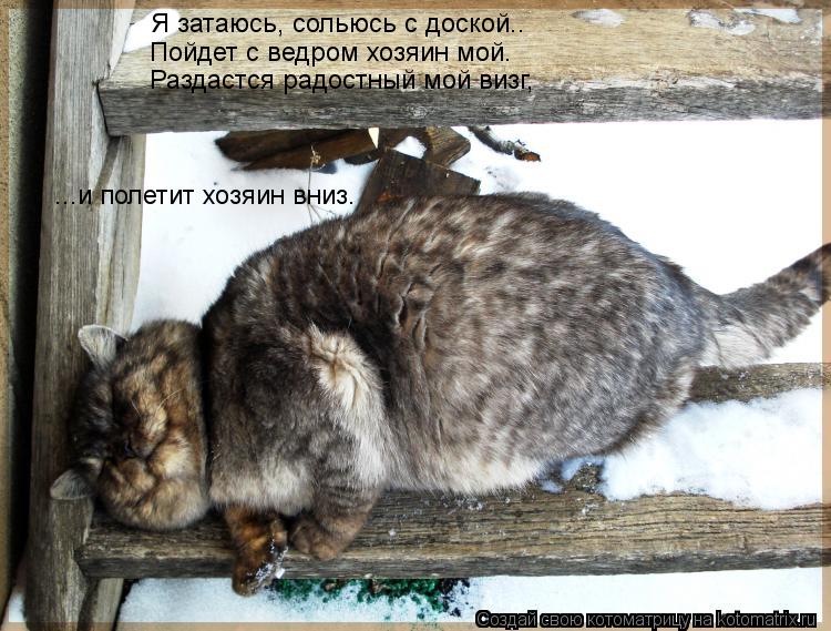 Я затаюсь, сольюсь с доской.. Пойдет с ведром хозяин мой. Раздастся радостный мой визг, ...и полетит ... Котоматрица: Я затаюсь, сольюсь с доской.. Пойдет с ведром хозяин мой. Раздастся радостный мой визг, ...и полетит хозяин вниз.