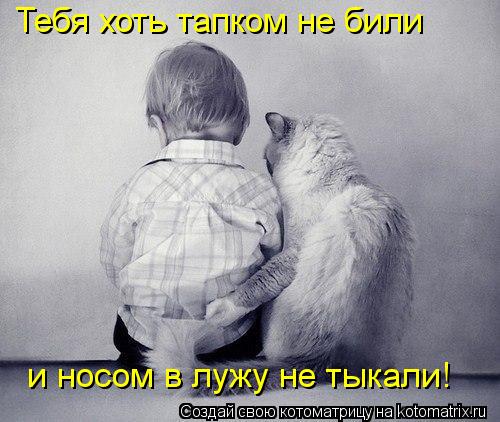Тебя хоть тапком не били и носом в лужу не тыкали!... Котоматрица: Тебя хоть тапком не били и носом в лужу не тыкали!