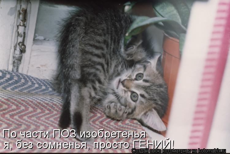 По части ПОЗ изобретенья я, без сомненья, просто ГЕНИЙ!... Котоматрица: По части ПОЗ изобретенья я, без сомненья, просто ГЕНИЙ!