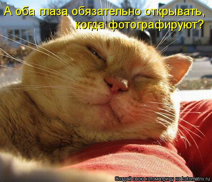 А оба глаза обязательно открывать, когда фотографируют?... Котоматрица: А оба глаза обязательно открывать, когда фотографируют?