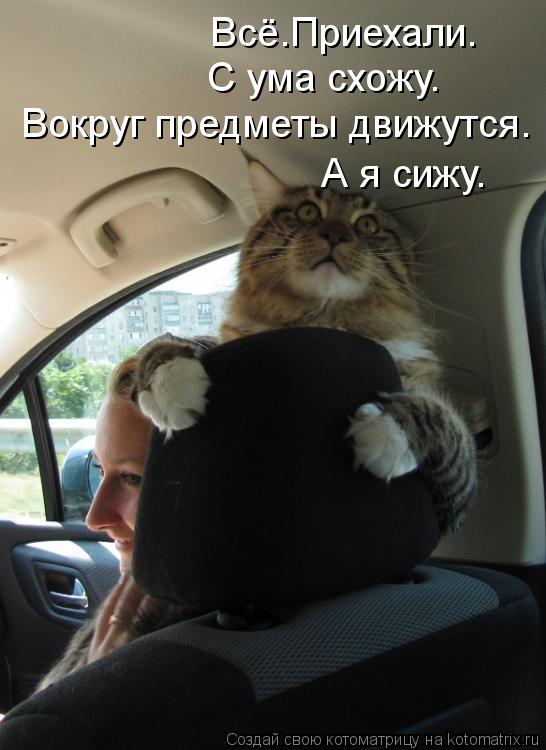 Всё.Приехали. С ума схожу. Вокруг предметы движутся. А я сижу.... Котоматрица: Всё.Приехали. С ума схожу. Вокруг предметы движутся. А я сижу.