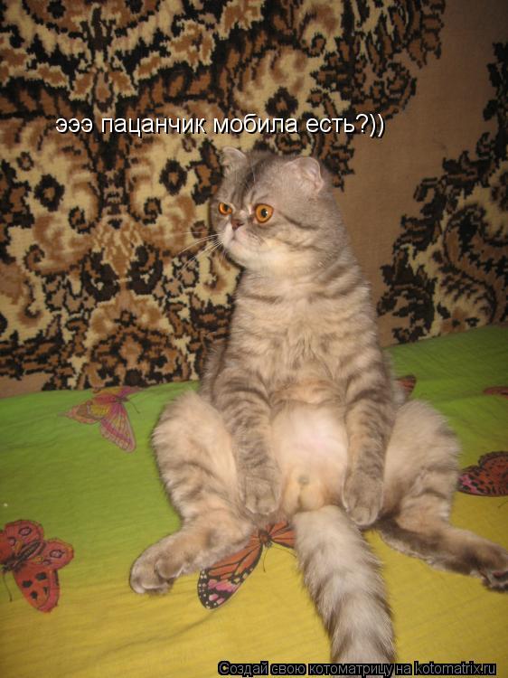 Котоматрица: эээ пацанчик мобила есть?))