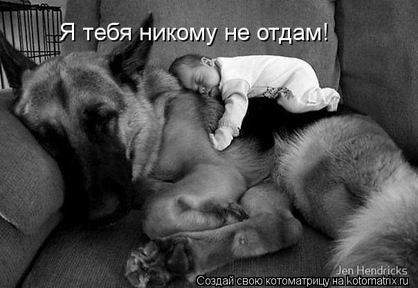 Котоматрица: Я тебя никому не отдам!