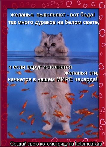 Котоматрица: желанье  выполняют - вот беда! так много дураков на белом свете, и если вдруг исполнятся желанья эти, начнется в нашем МИРЕ чехарда!