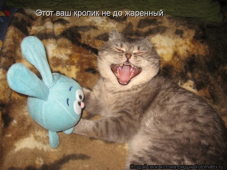 Котоматрица: Этот ваш кролик не до жаренный