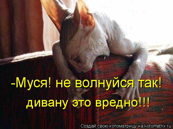 -Муся! не волнуйся так! дивану это вредно!!!... Котоматрица: -Муся! не волнуйся так! дивану это вредно!!!