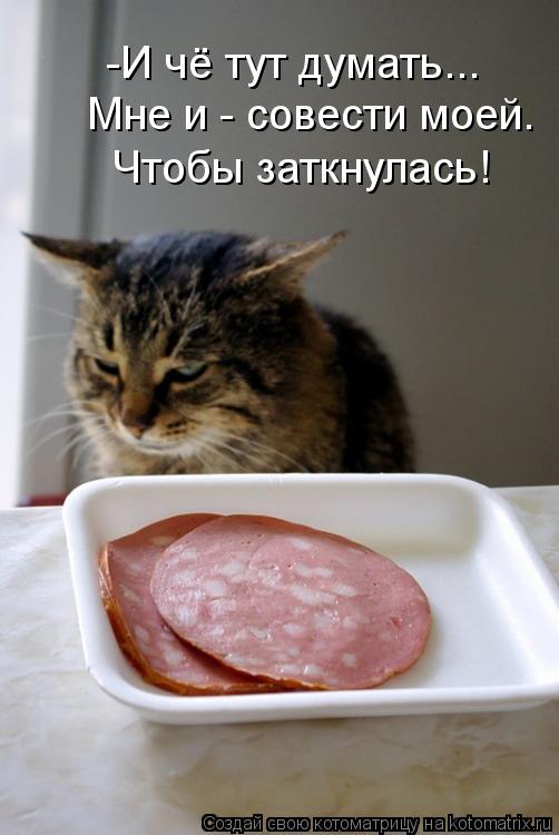 Котоматрица: -И чё тут думать... Мне и - совести моей. Чтобы заткнулась!