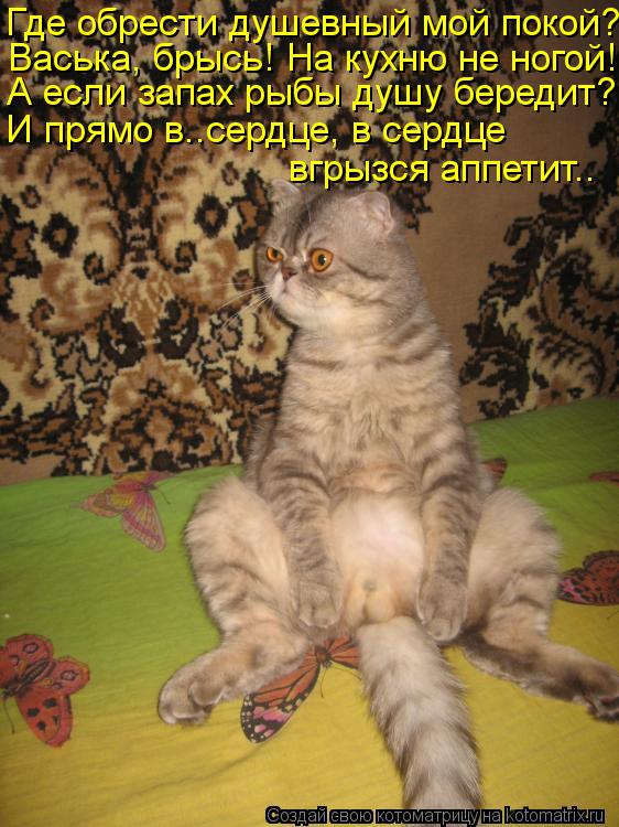 Где обрести душевный мой покой? Васька, брысь! На кухню не ногой! А если запах рыбы душу бередит? И п... Котоматрица: Где обрести душевный мой покой? Васька, брысь! На кухню не ногой! А если запах рыбы душу бередит? И прямо в..сердце, в сердце вгрызся аппетит..