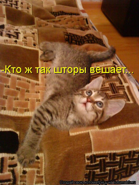 Котоматрица: -Кто ж так шторы вешает...