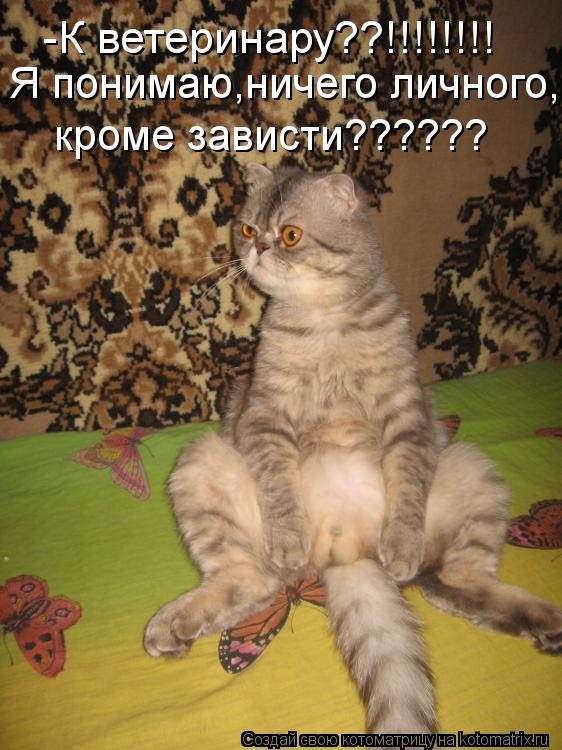 Котоматрица: -К ветеринару??!!!!!!!! Я понимаю,ничего личного,  кроме зависти??????