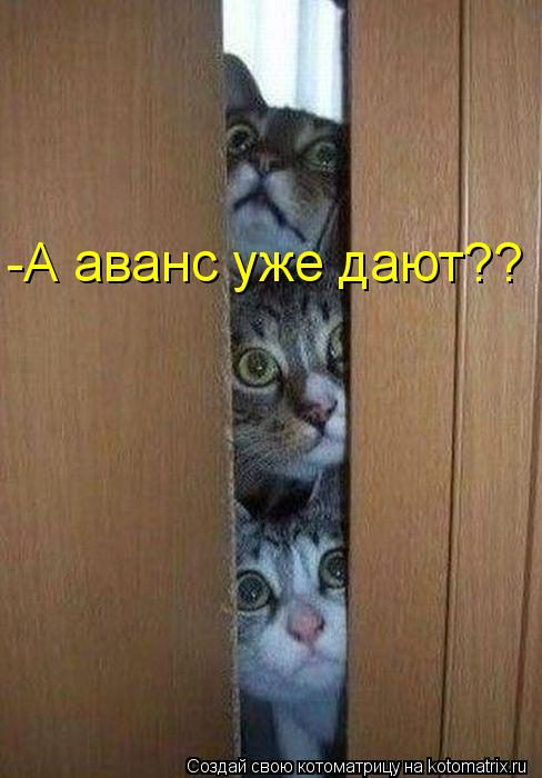 Котоматрица: -А аванс уже дают??