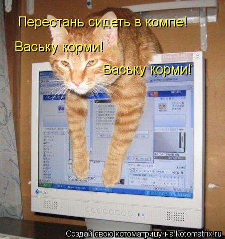 Котоматрица: Перестань сидеть в компе! Ваську корми! Ваську корми!