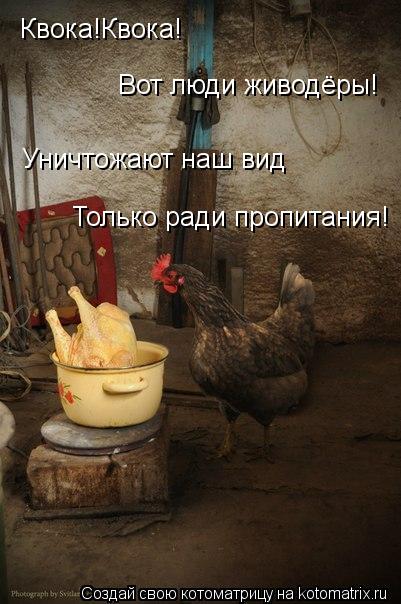 Котоматрица: Квока!Квока! Вот люди живодёры! Уничтожают наш вид Только ради пропитания!
