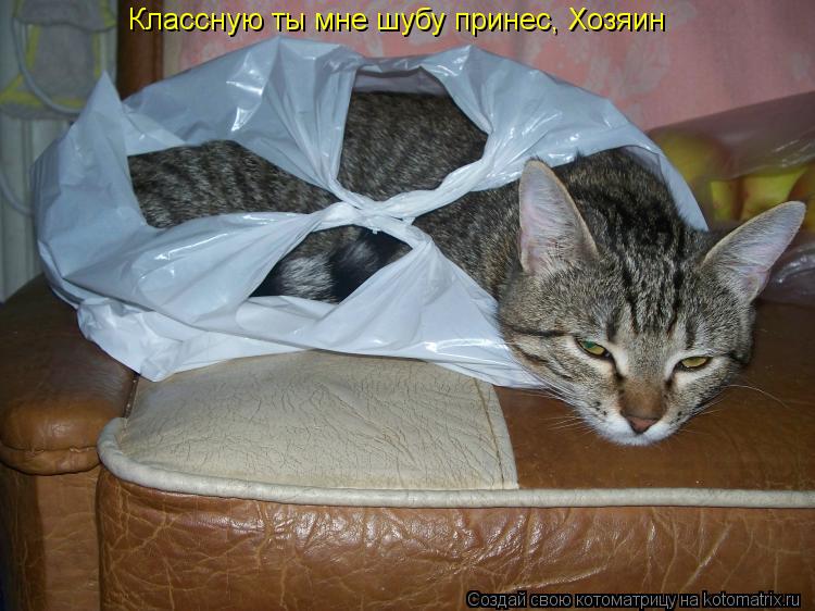 Котоматрица: Классную ты мне шубу принес, Хозяин