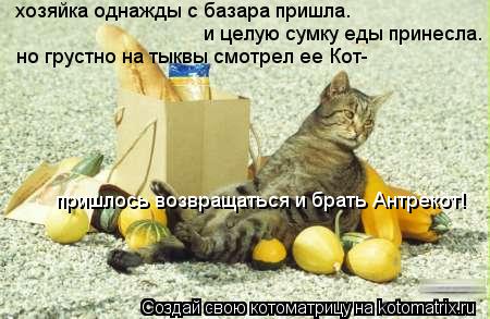 хозяйка однажды с базара пришла. и целую сумку еды принесла. но грустно на тыквы смотрел ее Кот- приш... Котоматрица: хозяйка однажды с базара пришла. и целую сумку еды принесла. но грустно на тыквы смотрел ее Кот- пришлось возвращаться и брать Антрекот!
