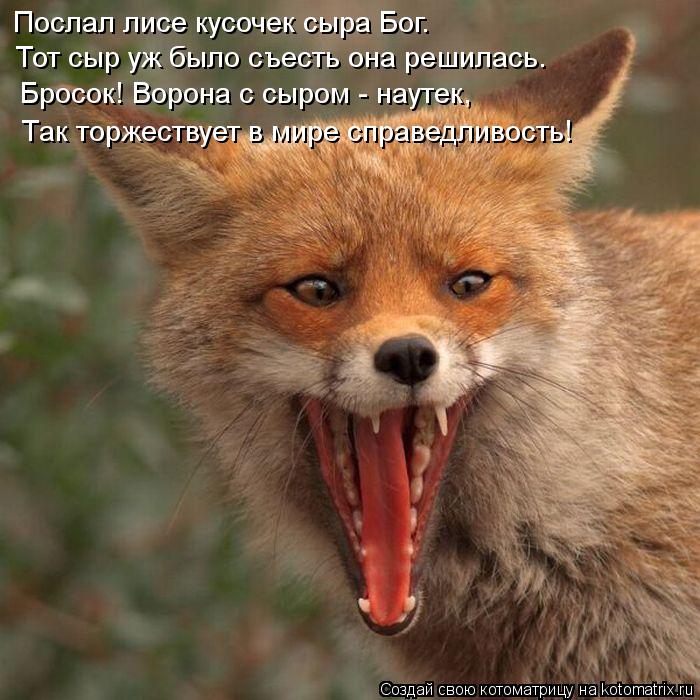 Послал лисе кусочек сыра Бог. Тот сыр уж было съесть она решилась. Бросок! Ворона с сыром - наутек, Т... Котоматрица: Послал лисе кусочек сыра Бог. Тот сыр уж было съесть она решилась. Бросок! Ворона с сыром - наутек, Так торжествует в мире справедливость!