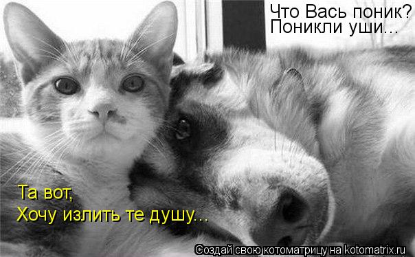 Что Вась поник? Поникли уши... Та вот, Хочу излить те душу...... Котоматрица: Что Вась поник? Поникли уши... Та вот, Хочу излить те душу...