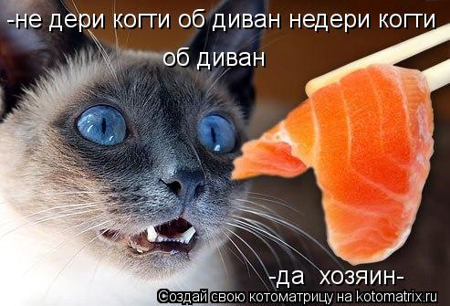 -не дери когти об диван недери когти об диван -да хозяин-... Котоматрица: -не дери когти об диван недери когти об диван -да хозяин-