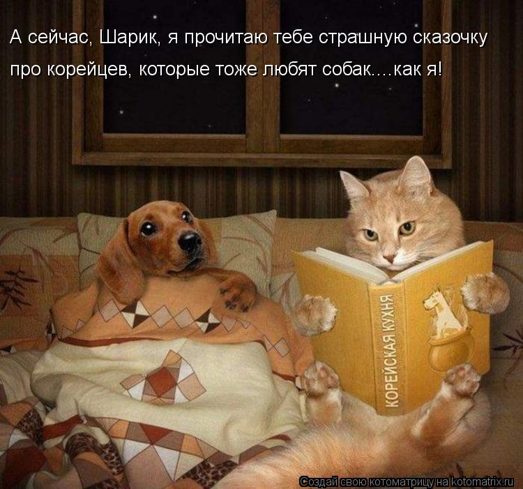 А сейчас, Шарик, я прочитаю тебе страшную сказочку про корейцев, которые тоже любят собак....как я!... Котоматрица: А сейчас, Шарик, я прочитаю тебе страшную сказочку про корейцев, которые тоже любят собак....как я!