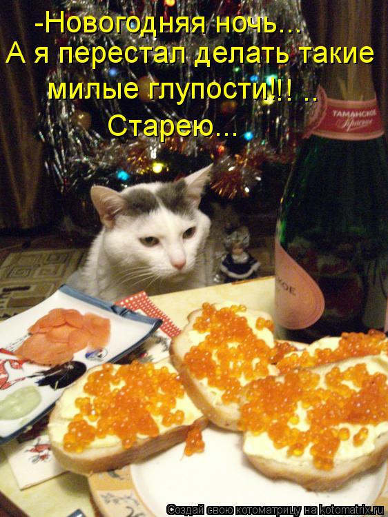 -Новогодняя ночь... А я перестал делать такие милые глупости! !! .. Старею...... Котоматрица: -Новогодняя ночь... А я перестал делать такие милые глупости! !! .. Старею...