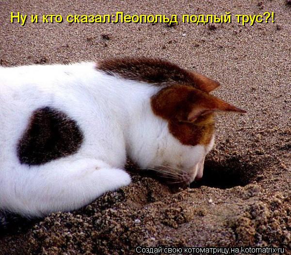 Ну и кто сказал:Леопольд подлый трус?!... Котоматрица: Ну и кто сказал:Леопольд подлый трус?!