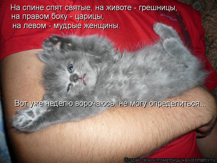 На спине спят святые, на животе - грешницы, на правом боку - царицы, на левом - мудрые женщины. Вот... Котоматрица: На спине спят святые, на животе - грешницы, на правом боку - царицы, на левом - мудрые женщины. Вот уже неделю ворочаюсь, не могу определиться.