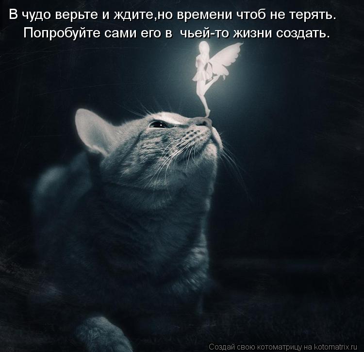 Попробуйте сами его в чьей-то жизни создать. В чудо верьте и ждите,но времени чтоб не терять.... Котоматрица: Попробуйте сами его в чьей-то жизни создать. В чудо верьте и ждите,но времени чтоб не терять.