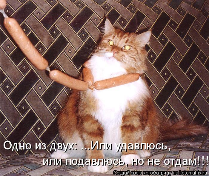 Одно из двух: ...Или удавлюсь, или подавлюсь, но не отдам!!!... Котоматрица: Одно из двух: ...Или удавлюсь, или подавлюсь, но не отдам!!!