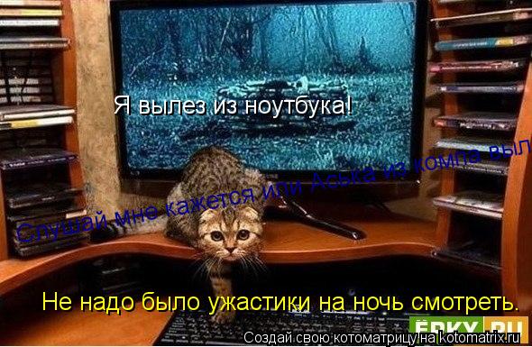 Я вылез из ноутбука! Не надо было ужастики на ночь смотреть. Слушай мне кажется или Аська из компа вы... Котоматрица: Я вылез из ноутбука! Не надо было ужастики на ночь смотреть. Слушай мне кажется или Аська из компа вылез?