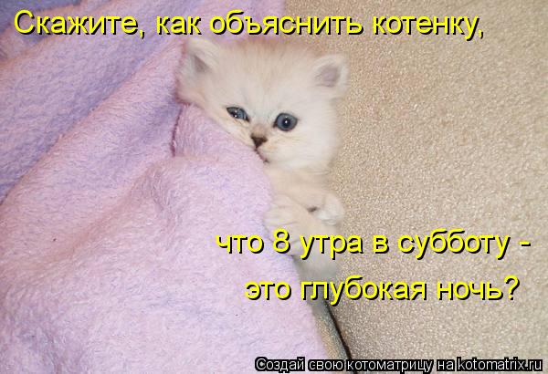 Скажите, как объяснить котенку, что 8 утра в субботу - это глубокая ночь?... Котоматрица: Скажите, как объяснить котенку, что 8 утра в субботу - это глубокая ночь?