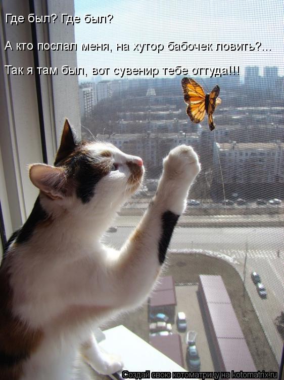Так я там был, вот сувенир тебе оттуда!!! Где был? Где был? А кто послал меня, на хутор бабочек ловит... Котоматрица: Так я там был, вот сувенир тебе оттуда!!! Где был? Где был? А кто послал меня, на хутор бабочек ловить?...