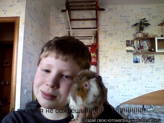 А ты меня не сожрёшь!!!!!!!!!!!!!!!!!!!!!!!!!!!!!!... Котоматрица: А ты меня не сожрёшь!!!!!!!!!!!!!!!!!!!!!!!!!!!!!!