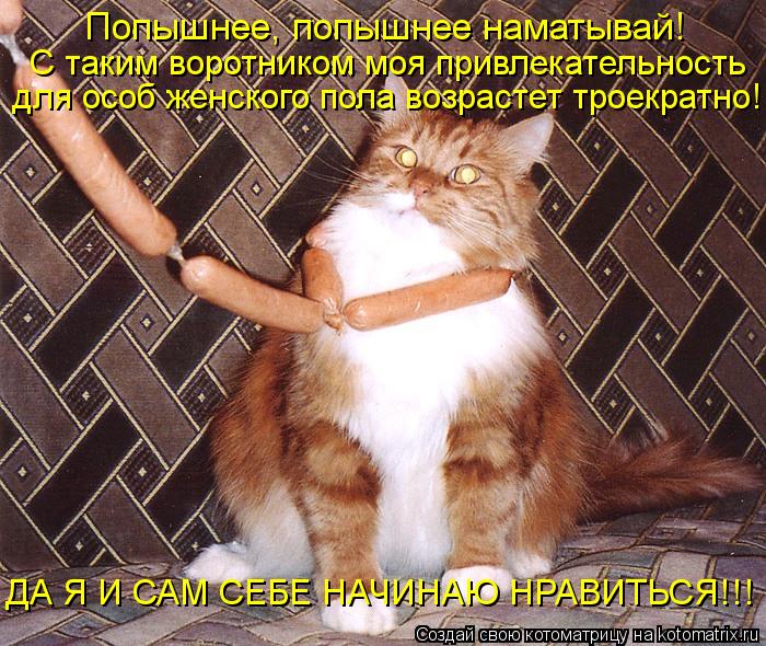 Попышнее, попышнее наматывай! С таким воротником моя привлекательность для особ женского пола возраст... Котоматрица: Попышнее, попышнее наматывай! С таким воротником моя привлекательность для особ женского пола возрастет троекратно! ДА Я И САМ СЕБЕ НАЧИНА