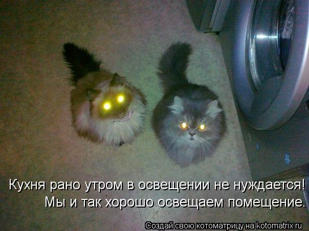 Кухня рано утром в освещении не нуждается! Мы и так хорошо освещаем помещение.... Котоматрица: Кухня рано утром в освещении не нуждается! Мы и так хорошо освещаем помещение.