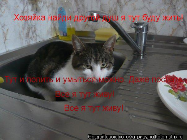 Хозяйка найди другой душ я тут буду жить! Тут и попить и умыться можно. Даже поспать. Все я тут живу... Котоматрица: Хозяйка найди другой душ я тут буду жить! Тут и попить и умыться можно. Даже поспать. Все я тут живу! Все я тут живу!