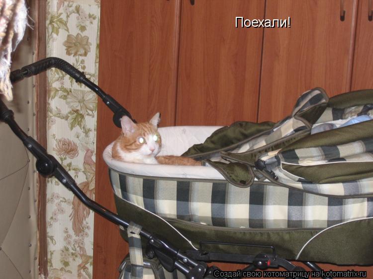 Поехали! Поехали!... Котоматрица: Поехали! Поехали!