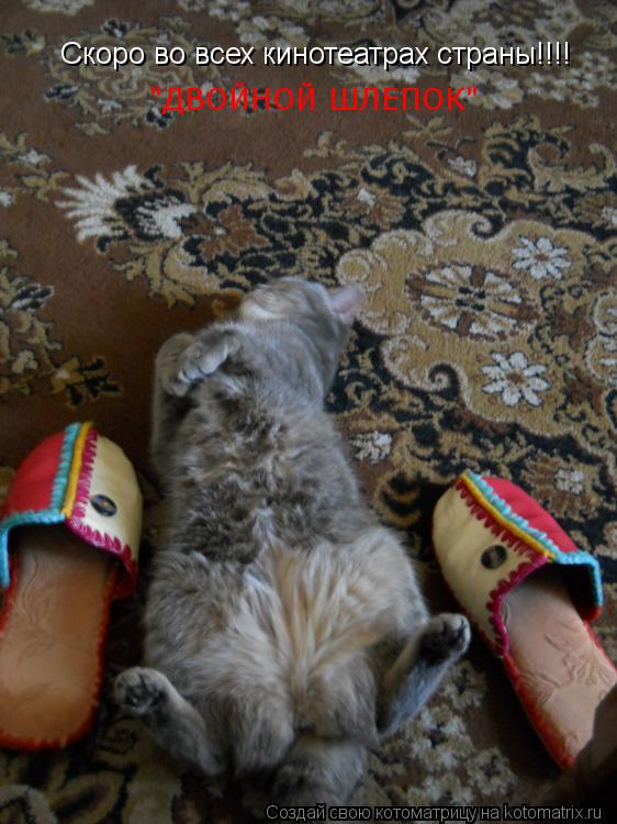 Скоро во всех кинотеатрах страны!!!! "ДВОЙНОЙ ШЛЕПОК"... Котоматрица: Скоро во всех кинотеатрах страны!!!! "ДВОЙНОЙ ШЛЕПОК"