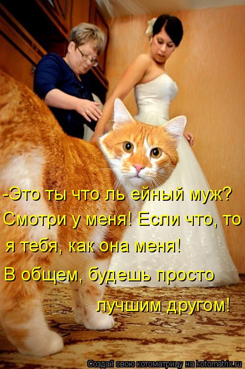 -Это ты что ль ейный муж? Смотри у меня! Если что, то я тебя, как она меня! В общем, будешь просто ... Котоматрица: -Это ты что ль ейный муж? Смотри у меня! Если что, то я тебя, как она меня! В общем, будешь просто лучшим другом!