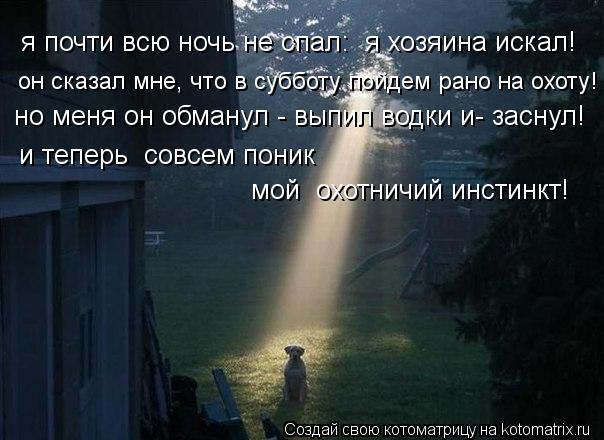 я почти всю ночь не спал: я хозяина искал! он сказал мне, что в субботу пойдем рано на охоту! но мен... Котоматрица: я почти всю ночь не спал: я хозяина искал! он сказал мне, что в субботу пойдем рано на охоту! но меня он обманул - выпил водки и- заснул! и тепер