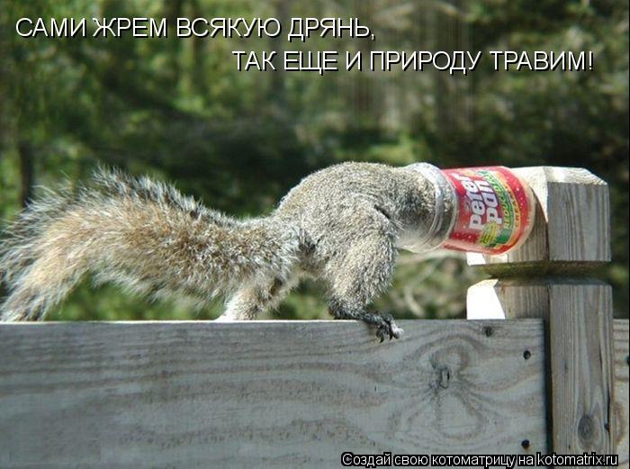 САМИ ЖРЕМ ВСЯКУЮ ДРЯНЬ, ТАК ЕЩЕ И ПРИРОДУ ТРАВИМ!... Котоматрица: САМИ ЖРЕМ ВСЯКУЮ ДРЯНЬ, ТАК ЕЩЕ И ПРИРОДУ ТРАВИМ!