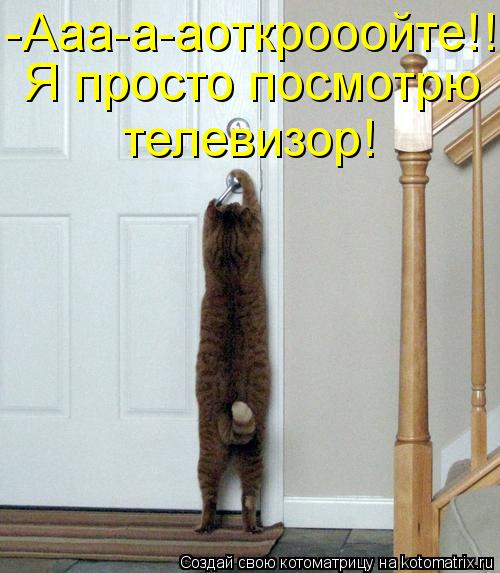 -Ааа-а-аоткрооойте!! Я просто посмотрю телевизор!... Котоматрица: -Ааа-а-аоткрооойте!! Я просто посмотрю телевизор!