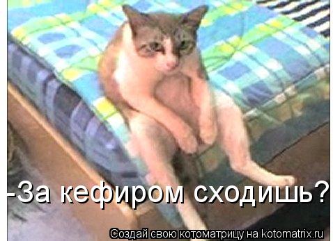-За кефиром сходишь?... Котоматрица: -За кефиром сходишь?
