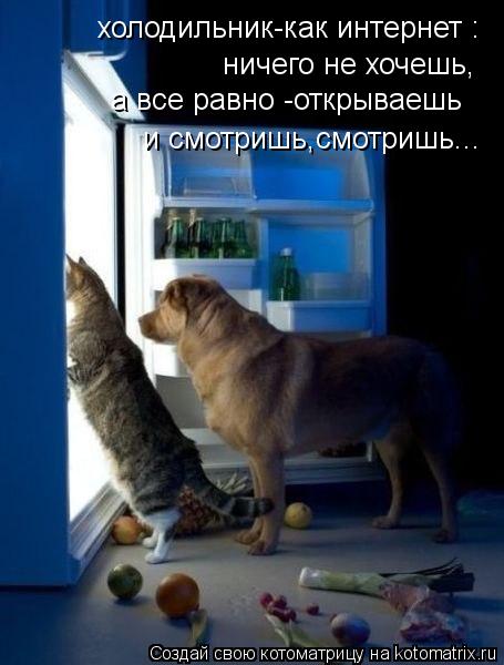 холодильник-как интернет : ничего не хочешь, а все равно -открываешь и смотришь,смотришь...... Котоматрица: холодильник-как интернет : ничего не хочешь, а все равно -открываешь и смотришь,смотришь...