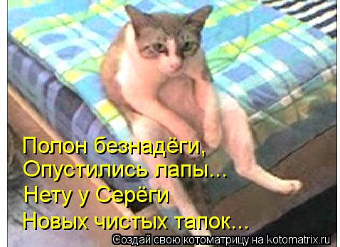 Полон безнадёги, Полон безнадёги, Опустились лапы... Нету у Серёги Новых чистых тапок...... Котоматрица: Полон безнадёги, Полон безнадёги, Опустились лапы... Нету у Серёги Новых чистых тапок...