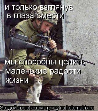 и только взглянув в глаза смерти мы способны ценить маленькие радости жизни... Котоматрица: и только взглянув в глаза смерти мы способны ценить маленькие радости жизни