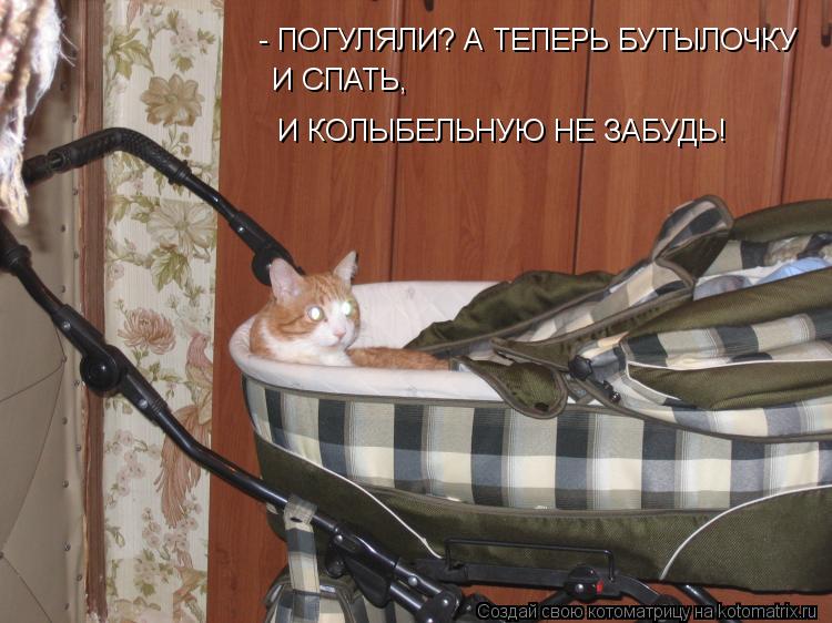 - ПОГУЛЯЛИ? А ТЕПЕРЬ БУТЫЛОЧКУ И СПАТЬ, И КОЛЫБЕЛЬНУЮ НЕ ЗАБУДЬ!... Котоматрица: - ПОГУЛЯЛИ? А ТЕПЕРЬ БУТЫЛОЧКУ И СПАТЬ, И КОЛЫБЕЛЬНУЮ НЕ ЗАБУДЬ!