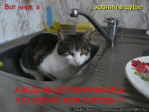...хозяин в душе Вот чёрт, а ... А ВЕДЬ МЫ ДОГОВАРИВАЛИСЬ, ЧТО СЕЙЧАС МОЯ ОЧЕРЕДЬ !!!... Котоматрица: ...хозяин в душе Вот чёрт, а ... А ВЕДЬ МЫ ДОГОВАРИВАЛИСЬ, ЧТО СЕЙЧАС МОЯ ОЧЕРЕДЬ !!!